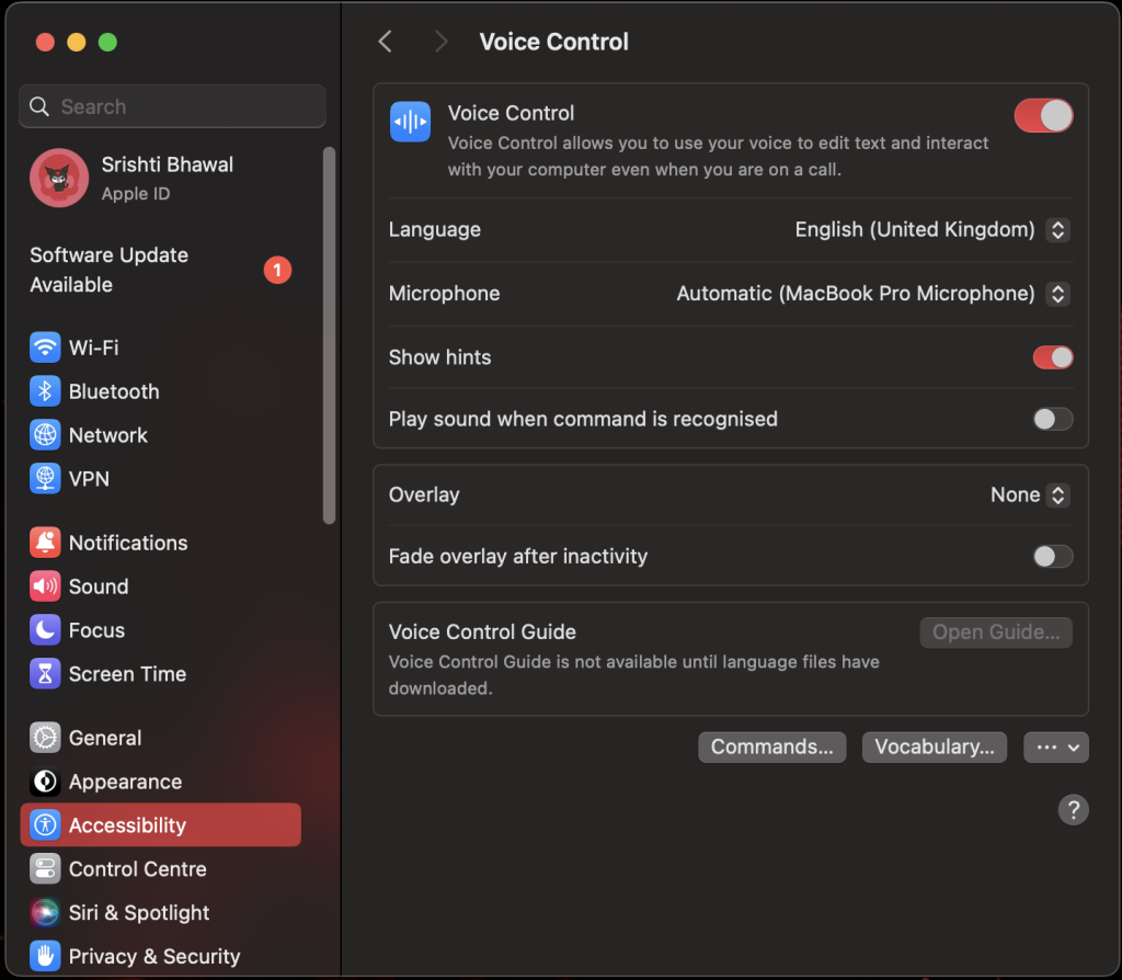 Screenshot of Macbook Pro Settings Tab showing main Voice Control Settings